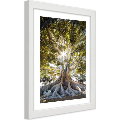 Quadro con cornice, Grande albero esotico - 30x45 (1/5)