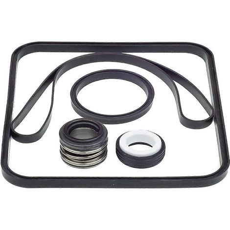 Joint de rechange pour pompe Hayward SPX1600TRA SP1600Z2 PS-201 SPX1600R SPX1600S SPX1600T (1/5)