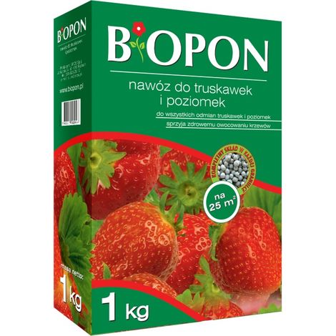 CONCIME - PER FRAGOLE E FRAGOLE 1 KG - BR BIO-1060