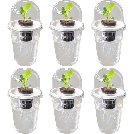 6 pièces Pots hydroponiques tasses de propagation transparentes pour le démarrage des graines Pots en plastique transparent à arrosage automatique pour plantes d'intérieur arrosage automatique transp (1/5)