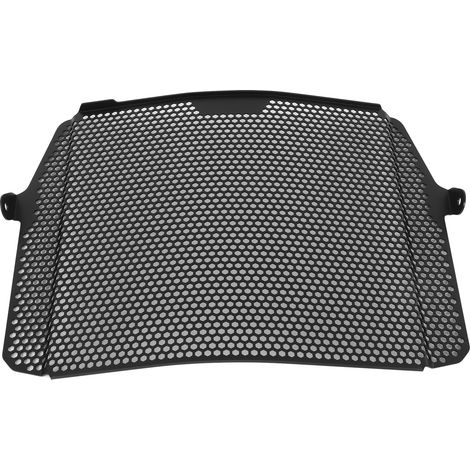 Kühlergrill, Motorrad-Ersatzteil, für 765RS Triple SR ab 2020 (1/5)