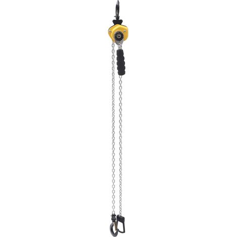 Mini Palan à Levier Manuel 250 kg, Palan à Chaîne à Cliquet Manutention, avec Chaîne en Acier Allié G80 3 m, Crochet Rotatif à 360°, pour Marchandises Garage Quai Usine