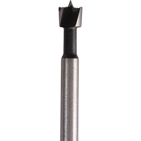 Heller 12028 9 Punta Forstner 12 mm Lunghezza totale 90 mm Alberino cilindrico 1 pz. (1/3)