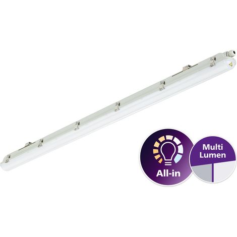 Philips Ledinaire WT065C luminaria para cuartos húmedos, 53W/30W, 4000K, IP65, IK08, 50022899