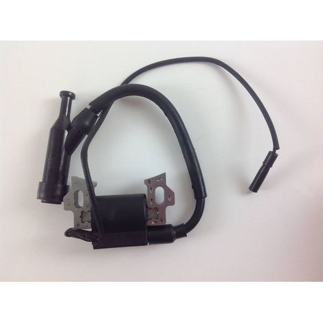 Bobina de arranque original LONCIN 270920162-0001 (1/4)
