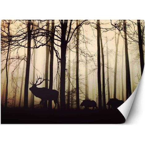 Papier peint animaux dans la forêt - 450 x 315 cm