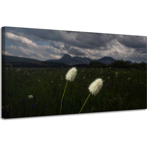 Leinwanddruck Natur Wildblumen 120x60 cm
