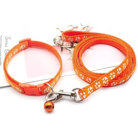 Collar para cachorros con correa, correa ajustable de nailon suave para cachorros y perros pequeños, 1,2 m de largo, azul cielo (1/5)