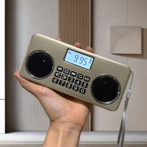 Mini radio FM portable avec deux haut-parleurs, écran LED, Bluetooth sans fil, haut-parleur 5,3 pouces, lecteur de musique, compatible avec les dossiers, les cartes TF et l'interface USB. (1/5)