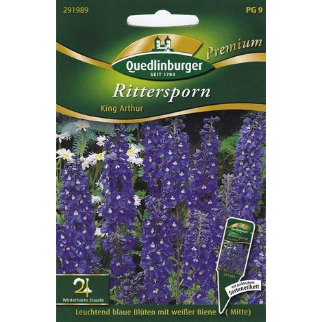 Quedlinburger Rittersporn King Arthur - Blumensamen (1/2)