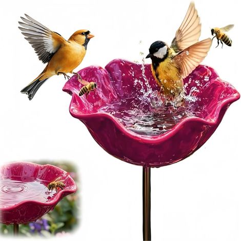 Bain D’Oiseaux Mangeoire (1/5)