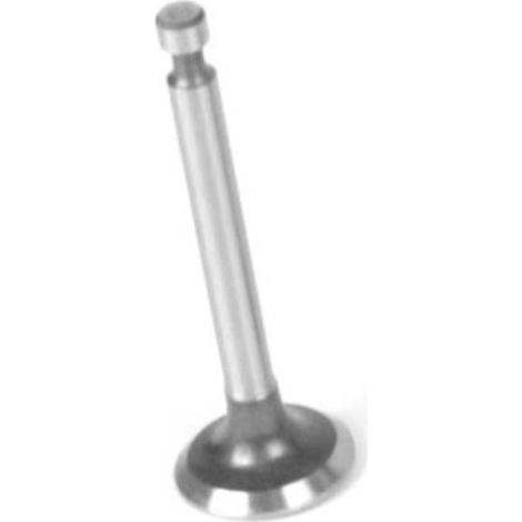 Soupape D'admission Adaptable Pour Honda Modèle Gx110. Remplace Origine: 14711-ze0-010