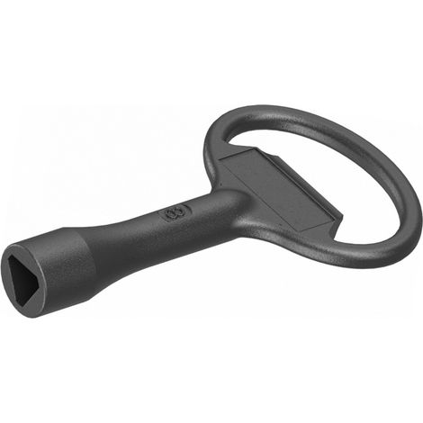 SCHNEIDER ELECTRIC NSYLT8 CLÉ MÉTAL POUR INSERTO TRIANGULAIRE, 8 MM (1/2)