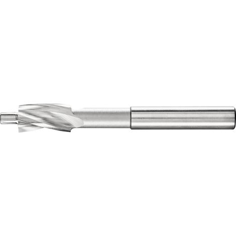 PFERD FLS HSS DIN 373 10,0 GKL 25203116 Fraise plate 10 mm HSS 1 pc(s) Y130822 (1/5)