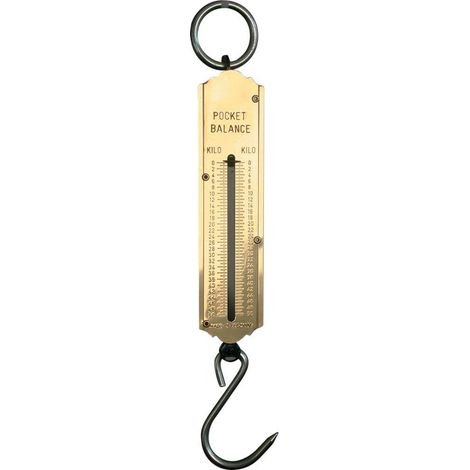 FP – Balance de poche 50kg – Cadran en fer plaqué laiton – Crochet et anneau galvanisés – Pour pesage précis d'objets lourds