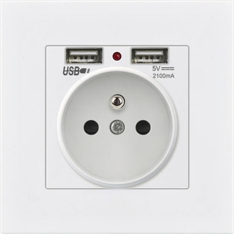2er Set Wandsteckdosen, Wandsteckdose mit Dual USB 5V/2100mA, Unterputzsteckdose mit 2 USB-Anschlüssen, praktisch und handlich