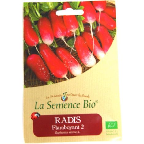 La Semence Bio - Radis flamboyant