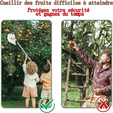 Cueilleur de Fruits Télescopique 3,2m con Sac et Perche Retractable pour Pommes Oranges Jusqu'à 16cm - AUTRES (1/4)