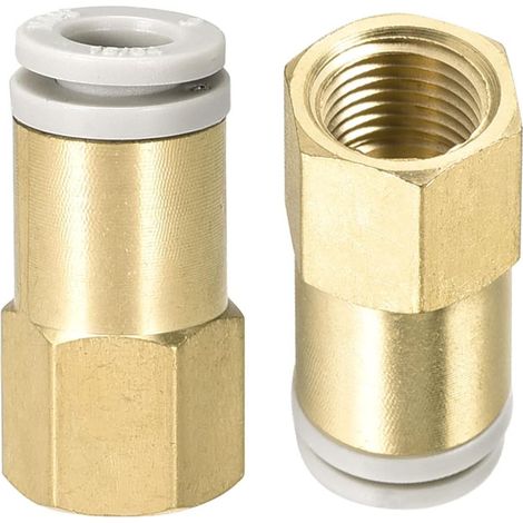 2 Pack 1/8 PT Female Hose Fitting - Straight Union, Push to Connect Fittings, Apply to Pneumatic System (6mm ID, Gold) (1/5)