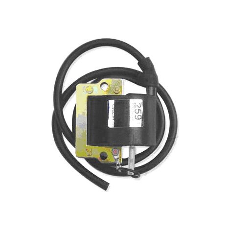 Bobina di accensione 12V per Kawasaki KLR 600 1984-1987, KLR 650 1987 / Yamaha SRX 600 1986-1989, TT 600 1983-1997, XT 600 1983-1