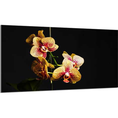 Lastra protettiva in vetro per stufa 90x52 Orchidea (1/5)