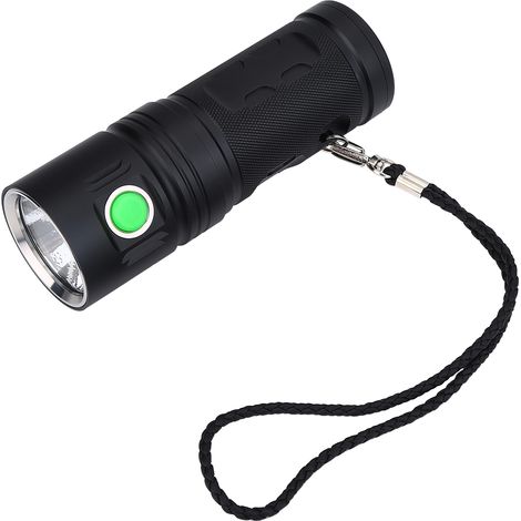 Mini-LED-Taschenlampe, ultraleicht, tragbar, wasserdicht und wiederaufladbar, mit Trageschlaufe (1/5)
