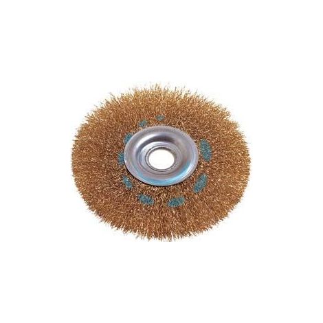 SPAZZOLA A DISCO CIRCOLARE CON FORO - ø mm. 75 foro mm.13 PG 485.80