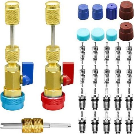 31Pcs R134A Valve Core Quick Remover Kit d’Outils d’Installation, Outil de Retrait de Noyau de Valve Haute Basse Pression avec 5V1 R134A Valve Core AC Service Port Cap Kit Tige de Valve pour système (1/5)
