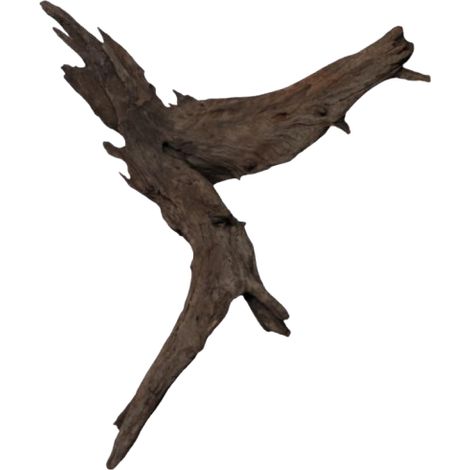 Buddha-Treibholz, 31–40 cm