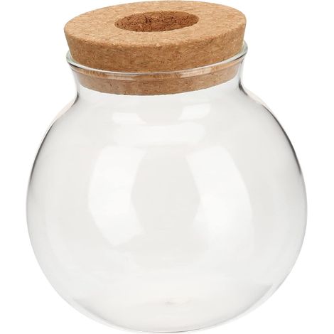 Bouteille en Verre hydroponique Vases en Verre Terrariums en pour Plantes Vase à Bulles Plante hydroponique Terrarium Vase à Fleurs Bureau e Terrarium (1/5)
