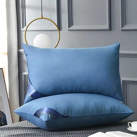 Oreiller En Plume Velours - 42x70 cm - Alternative Du Duvet - Pour Dormeurs Sur Le Côté Dos Et Ventre - 2 Pièces (1/5)