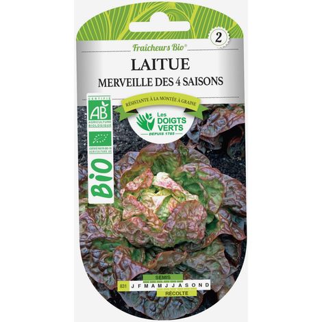 Graines laitue merveille des 4 saisons BIO Les Doigts Verts