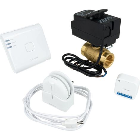 Afriso Système de détection SALUS sans fil ZigBee (1/3)