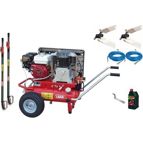 Kit olive 2 operatori Lisam Professional LM500/30 compressore Honda 2 abbacchiatori