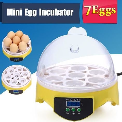 Incubadora - Mini incubadora Homdox, capacidad para 7 huevos, herramientas de incubación (1/4)