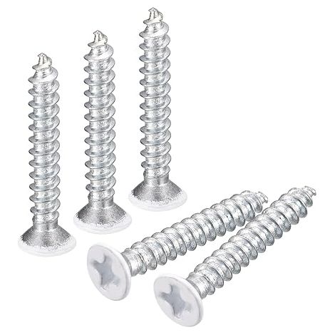 QUARKZMAN ST3x20mm Blanc Vis Autotaraudeuse, 25pcs Plat Tête Phillips Bois Vis pour Travail Bois