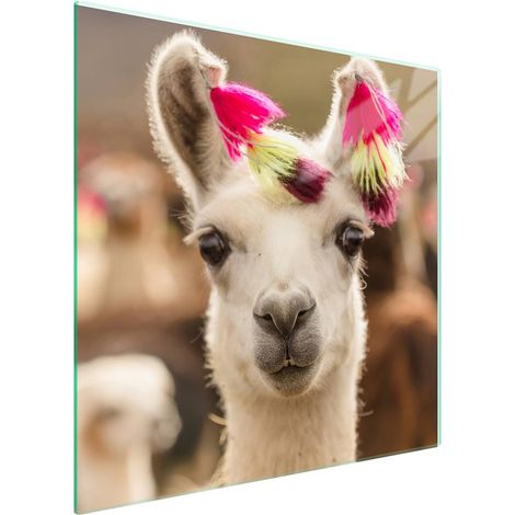 Glasschutzplatte für den Herd 50x52 Lama (1/5)
