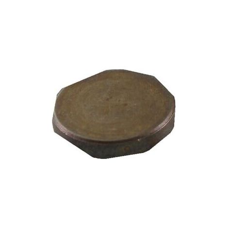 Capuchon BRIGGS ET STRATTON 691300