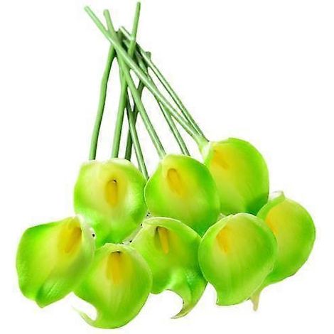 12 branches artificielles de callali commun avec tige, réalistes et réutilisables, pour la maison, les mariages et les fêtes.vert clair (1/5)