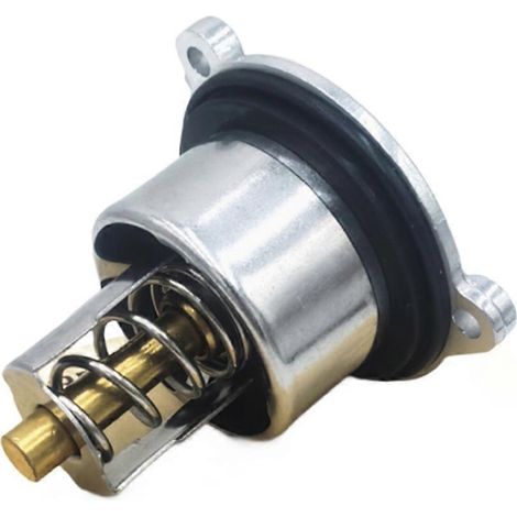 Thermostat 9A712111000 9A110622603 für Porsche 911 Cayman. (1/5)