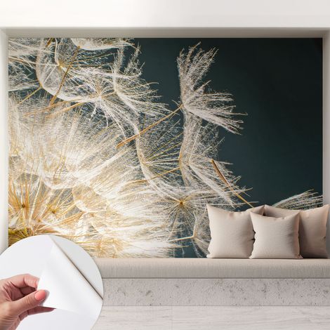 Fotomurale adesivo - parete decorativa - decorazione casa - stile moderno parete - Puffball di leggerezza 208x146 cm (1/5)