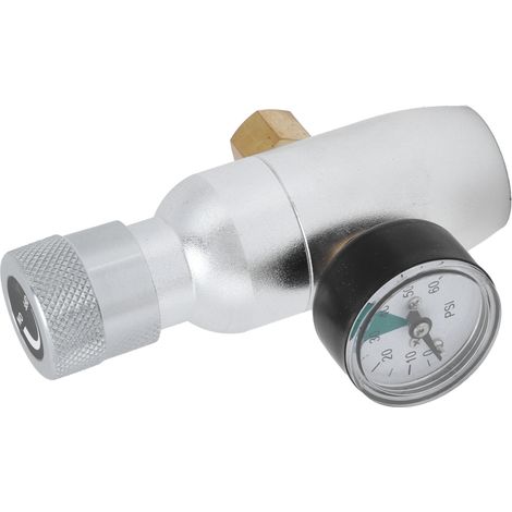 Mini-CO2-Regler mit Manometer für Craft Beer, Sodastyle-Fasszapfzubehör, MFL 3/8 Zoll (1/5)