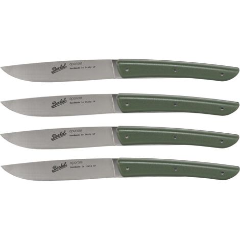 Berkel Steakmesser-Set 4-tlg. Color verde (1/2)