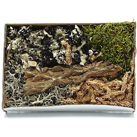 BioSet Tropical Tropical Detailing Set (1/5)