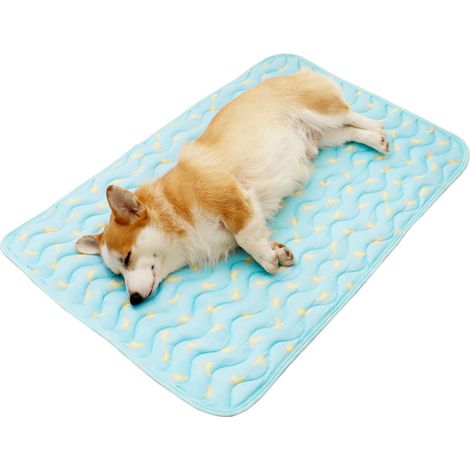 Tapis rafraîchissant Baodan pour chiens, tapis rafraîchissant lavable M pour chiens, tapis auto-rafraîchissants pour chiens et chats pendant les chauds étés (1/3)