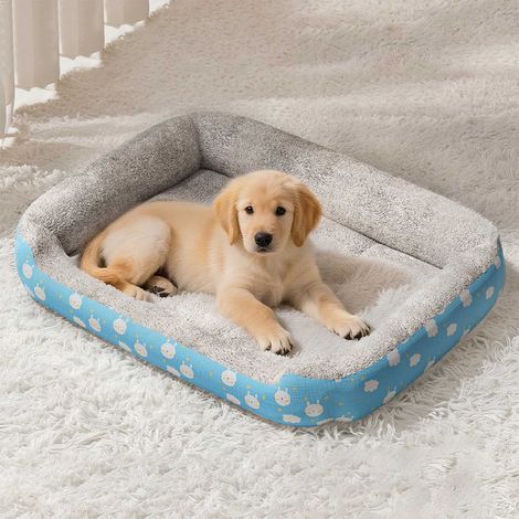 Tapis Pour Animaux - Lit Orthopédique Pour Chien Et Chat - Matelas Doux En Tissu Bleu - 50x40 cm - Pour Intérieur - 1 Pièce (1/5)