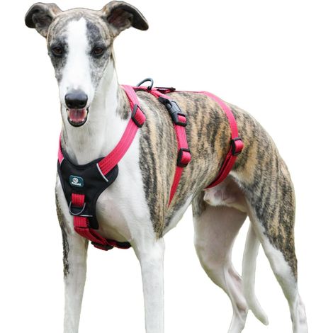Harnais Anti-Fugue pour Chien, Harnais Anti Traction pour Chien, Réglable, Durable, Respirant, Anti-Étranglement, pour Petits Chiens en Extérieur (Rose Vif,M) (1/5)
