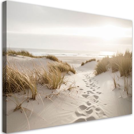 Wandbild Strand Meer Pflanzen Dünen Natur 100x70 cm