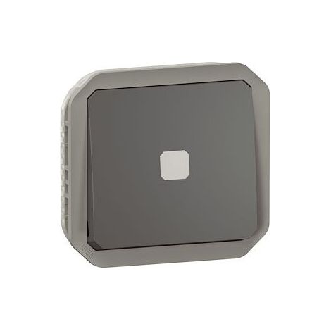 Legrand 069804L Zeitgesteuerter Lichtschalter Plexo, kombinierbar, anthrazit