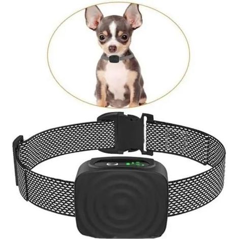 HOXILEELEOCollier anti-aboiement - EINEMGELD - Modèle 5-15 lb - Sans choc - Vibration réglable - Étanche IP67 -LAN (1/5)